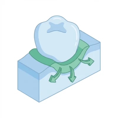 ActiFresh Bio-Adhesive mechanism